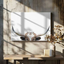 Peeking Longhorn Cow - Stretched Canvas, Poster Or Fine Art Print(Peeking Longhorn Cow Stretched Canvas Poster Or Fine Art Print)