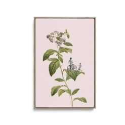 Botanical Cycling By Frida Floral Studio - Stretched Canvas Print Or Framed Fine Art Print - Artwork(Botanical Cycling By Frida Floral Studio Stretched Canvas Print Or Framed Fine Art Print Artwork 350569574)