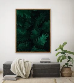 Ferny Fingers - Green Plant Fern Foliage Nature Art Print Canvas Wall Art(Ferny Fingers Green Plant Fern Foliage Nature Art Print Canvas Wall Art) -Heart Wall Art Store Ferny Fingers Green Plant Fern Foliage Nature Art Print Canvas Wall Art I Heart Wall Art Australia 1611614843