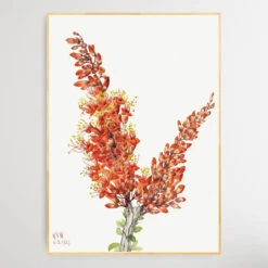 Fouquieria Splendens (1927) By Mary Vaux Walcott(Fouquieria Splendens 1927 By Mary Vaux Walcott) -Heart Wall Art Store Fouquieria splendens 1927 by Mary Vaux Walcott I Heart Wall Art Australia 1659071477