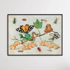 Insects And Fruits (1660–1665) By Jan Van Kessel(Insects And Fruits 1660 1665 By Jan Van Kessel)