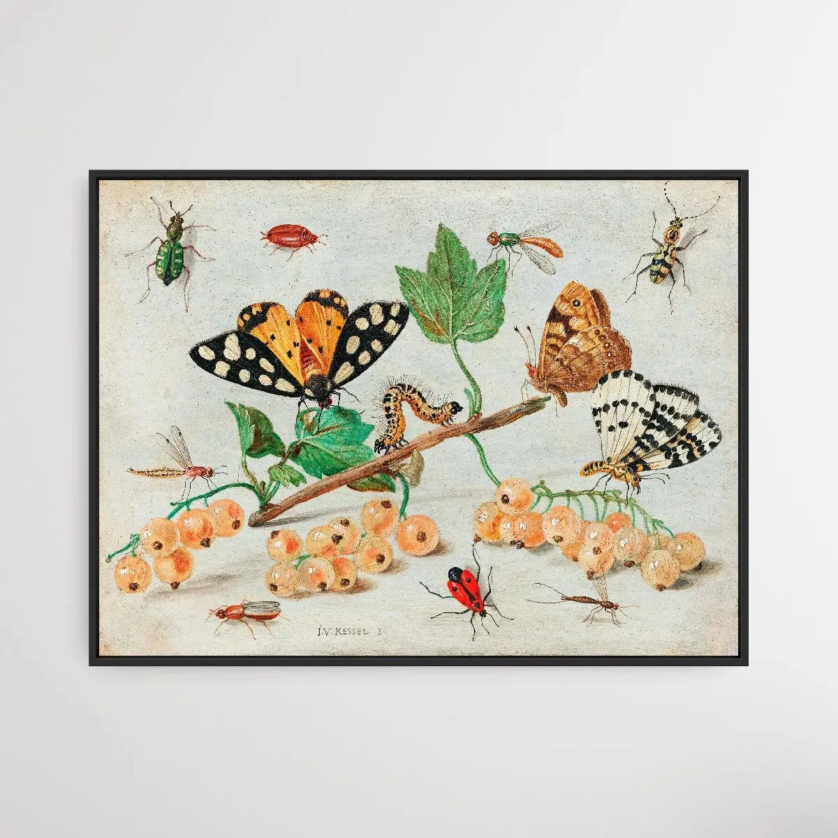 Insects And Fruits (1660–1665) By Jan Van Kessel(Insects And Fruits 1660 1665 By Jan Van Kessel) 1 Insects And Fruits (1660–1665) By Jan Van Kessel(Insects And Fruits 1660 1665 By Jan Van Kessel)