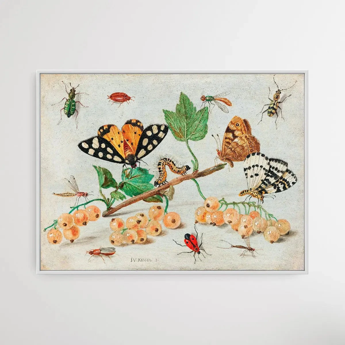 Insects And Fruits (1660–1665) By Jan Van Kessel(Insects And Fruits 1660 1665 By Jan Van Kessel) 2 Insects And Fruits (1660–1665) By Jan Van Kessel(Insects And Fruits 1660 1665 By Jan Van Kessel) - Image 2