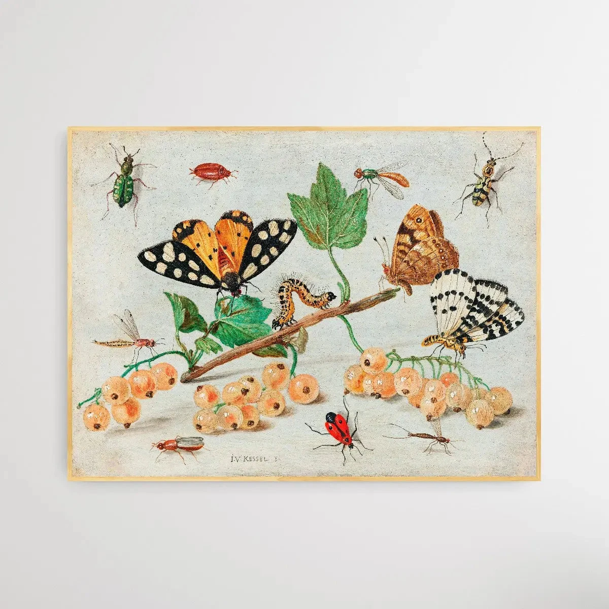 Insects And Fruits (1660–1665) By Jan Van Kessel(Insects And Fruits 1660 1665 By Jan Van Kessel) 3 Insects And Fruits (1660–1665) By Jan Van Kessel(Insects And Fruits 1660 1665 By Jan Van Kessel) - Image 3