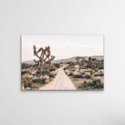 Joshua Tree - Desert Photographic Print With Cactus(Joshua Tree Desert Photographic Print With Cactus)