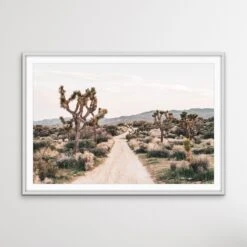 Joshua Tree - Desert Photographic Print With Cactus(Joshua Tree Desert Photographic Print With Cactus) -Heart Wall Art Store Joshua Tree Desert Photographic Print With Cactus I Heart Wall Art Australia 1635120834