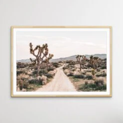 Joshua Tree - Desert Photographic Print With Cactus(Joshua Tree Desert Photographic Print With Cactus) -Heart Wall Art Store Joshua Tree Desert Photographic Print With Cactus I Heart Wall Art Australia 1635120836