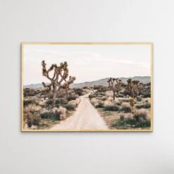 Joshua Tree - Desert Photographic Print With Cactus(Joshua Tree Desert Photographic Print With Cactus) -Heart Wall Art Store Joshua Tree Desert Photographic Print With Cactus I Heart Wall Art Australia 1635120840