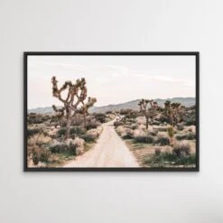 Joshua Tree - Desert Photographic Print With Cactus(Joshua Tree Desert Photographic Print With Cactus) -Heart Wall Art Store Joshua Tree Desert Photographic Print With Cactus I Heart Wall Art Australia 1635120842