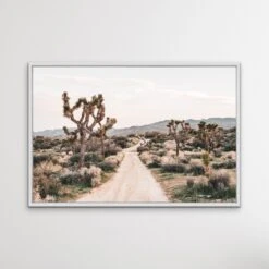 Joshua Tree - Desert Photographic Print With Cactus(Joshua Tree Desert Photographic Print With Cactus) -Heart Wall Art Store Joshua Tree Desert Photographic Print With Cactus I Heart Wall Art Australia 1635120845