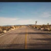 Joshua Tree Road - Stretched Canvas, Poster Or Fine Art Print(Joshua Tree Road Stretched Canvas Poster Or Fine Art Print)