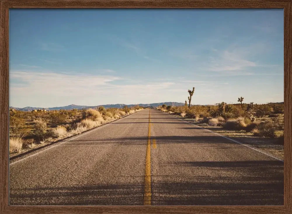 Joshua Tree Road - Stretched Canvas, Poster Or Fine Art Print(Joshua Tree Road Stretched Canvas Poster Or Fine Art Print) 2 Joshua Tree Road - Stretched Canvas, Poster Or Fine Art Print(Joshua Tree Road Stretched Canvas Poster Or Fine Art Print) - Image 2