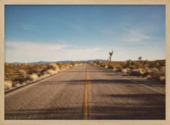 Joshua Tree Road - Stretched Canvas, Poster Or Fine Art Print(Joshua Tree Road Stretched Canvas Poster Or Fine Art Print) 14 Joshua Tree Road - Stretched Canvas, Poster Or Fine Art Print(Joshua Tree Road Stretched Canvas Poster Or Fine Art Print) -Heart Wall Art Store Joshua Tree Road Stretched Canvas Poster or Fine Art Print I Heart Wall Art 43365768