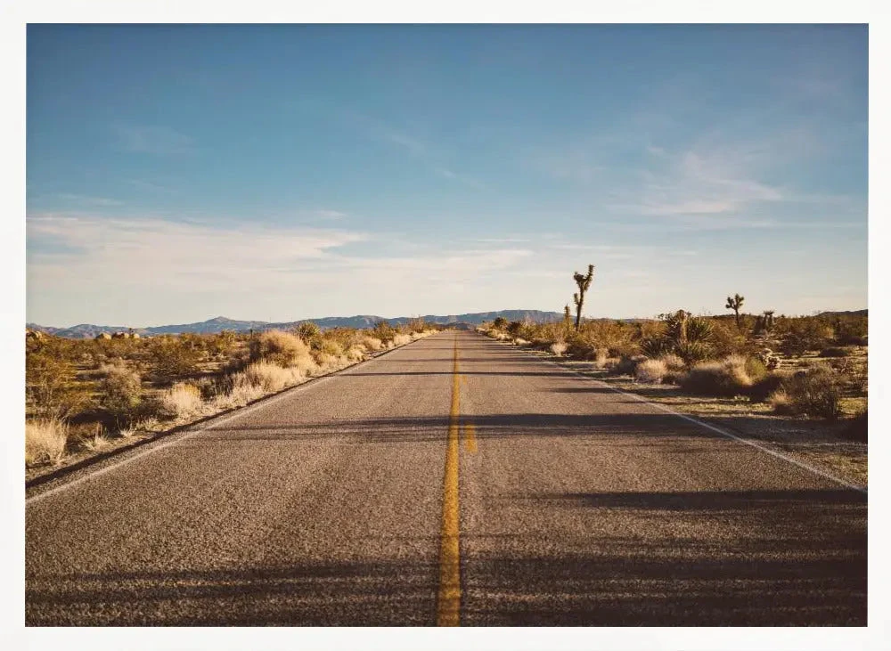 Joshua Tree Road - Stretched Canvas, Poster Or Fine Art Print(Joshua Tree Road Stretched Canvas Poster Or Fine Art Print) 4 Joshua Tree Road - Stretched Canvas, Poster Or Fine Art Print(Joshua Tree Road Stretched Canvas Poster Or Fine Art Print) - Image 4