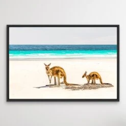 Kangaroo Beach - Photographic Beach Coastal Canvas And Art Print(Kangaroo Beach Photographic Beach Coastal Canvas And Art Print) -Heart Wall Art Store Kangaroo Beach Photographic Beach Coastal Canvas and Art Print I Heart Wall Art Australia 1617257404
