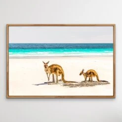 Kangaroo Beach - Photographic Beach Coastal Canvas And Art Print(Kangaroo Beach Photographic Beach Coastal Canvas And Art Print) -Heart Wall Art Store Kangaroo Beach Photographic Beach Coastal Canvas and Art Print I Heart Wall Art Australia 1617257417