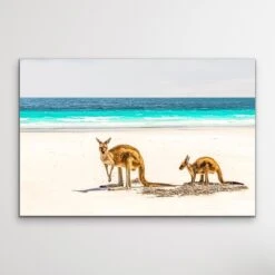 Kangaroo Beach - Photographic Beach Coastal Canvas And Art Print(Kangaroo Beach Photographic Beach Coastal Canvas And Art Print) -Heart Wall Art Store Kangaroo Beach Photographic Beach Coastal Canvas and Art Print I Heart Wall Art Australia 1617257436