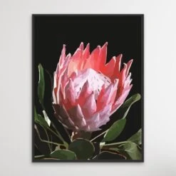 King Of The Blooms - Protea Floral Print On Canvas Or Paper(King Of The Blooms Protea Floral Print On Canvas Or Paper)