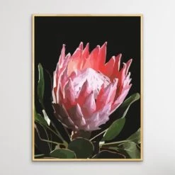 King Of The Blooms - Protea Floral Print On Canvas Or Paper(King Of The Blooms Protea Floral Print On Canvas Or Paper) -Heart Wall Art Store King Of The Blooms Protea Floral Print on Canvas or Paper I Heart Wall Art Australia 1624181729