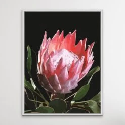 King Of The Blooms - Protea Floral Print On Canvas Or Paper(King Of The Blooms Protea Floral Print On Canvas Or Paper) -Heart Wall Art Store King Of The Blooms Protea Floral Print on Canvas or Paper I Heart Wall Art Australia 1624181732