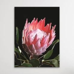 King Of The Blooms - Protea Floral Print On Canvas Or Paper(King Of The Blooms Protea Floral Print On Canvas Or Paper) -Heart Wall Art Store King Of The Blooms Protea Floral Print on Canvas or Paper I Heart Wall Art Australia 1624181735