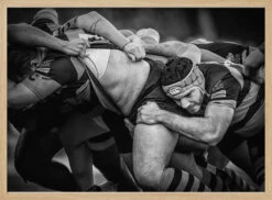 Melé - Stretched Canvas, Poster Or Fine Art Print(Mele Stretched Canvas Poster Or Fine Art Print) -Heart Wall Art Store Mele Stretched Canvas Poster or Fine Art Print I Heart Wall Art 45702539