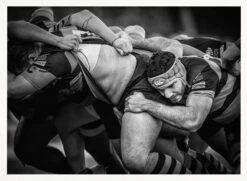 Melé - Stretched Canvas, Poster Or Fine Art Print(Mele Stretched Canvas Poster Or Fine Art Print) -Heart Wall Art Store Mele Stretched Canvas Poster or Fine Art Print I Heart Wall Art 45702663