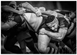 Melé - Stretched Canvas, Poster Or Fine Art Print(Mele Stretched Canvas Poster Or Fine Art Print) -Heart Wall Art Store Mele Stretched Canvas Poster or Fine Art Print I Heart Wall Art 45702771