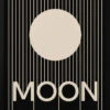 Moon - Stretched Canvas, Poster Or Fine Art Print(Moon Stretched Canvas Poster Or Fine Art Print)