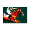 Polo - Horse Against Green Stretched Canvas Print Or Framed Fine Art Print - Artwork(Polo Horse Against Green Stretched Canvas Print Or Framed Fine Art Print Artwork 363367184)