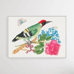 The Smithsonian 18th Century European Green Woodpecker(The Smithsonian 18th Century European Green Woodpecker) -Heart Wall Art Store The Smithsonian 18th Century European Green Woodpecker I Heart Wall Art Australia 1655863241