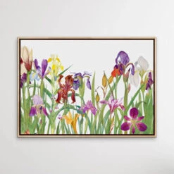 Vintage Irises - Arrangement Of Botanical Illustrations By William Rickatson Dykes(Vintage Irises Arrangement Of Botanical Illustrations By William Rickatson Dykes) -Heart Wall Art Store Vintage Irises Arrangement of Botanical Illustrations by William Rickatson Dykes I Heart Wall Art Australia 1659424421