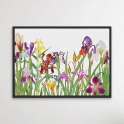 Vintage Irises - Arrangement Of Botanical Illustrations By William Rickatson Dykes(Vintage Irises Arrangement Of Botanical Illustrations By William Rickatson Dykes) -Heart Wall Art Store Vintage Irises Arrangement of Botanical Illustrations by William Rickatson Dykes I Heart Wall Art Australia 1659424425