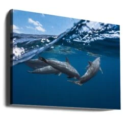 Dolphins - Stretched Canvas, Poster Or Fine Art Print(Dolphins Stretched Canvas Poster Or Fine Art Print 1) -Heart Wall Art Store canvas landscape wrap around 1208536
