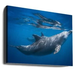 Dolphin At The Surface - Stretched Canvas, Poster Or Fine Art Print(Dolphin At The Surface Stretched Canvas Poster Or Fine Art Print) -Heart Wall Art Store canvas landscape wrap around 1495943