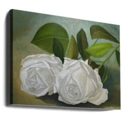 White Roses - Stretched Canvas, Poster Or Fine Art Print(White Roses Stretched Canvas Poster Or Fine Art Print) -Heart Wall Art Store canvas landscape wrap around 2575858