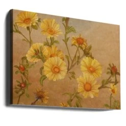 Yellow Daisies - Stretched Canvas, Poster Or Fine Art Print(Yellow Daisies Stretched Canvas Poster Or Fine Art Print) -Heart Wall Art Store canvas landscape wrap around 2575869