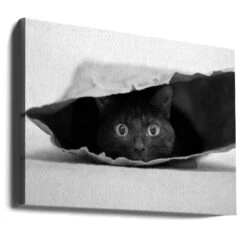Cat In A Bag - Stretched Canvas, Poster Or Fine Art Print(Cat In A Bag Stretched Canvas Poster Or Fine Art Print) 17 Cat In A Bag - Stretched Canvas, Poster Or Fine Art Print(Cat In A Bag Stretched Canvas Poster Or Fine Art Print) -Heart Wall Art Store canvas landscape wrap around 298