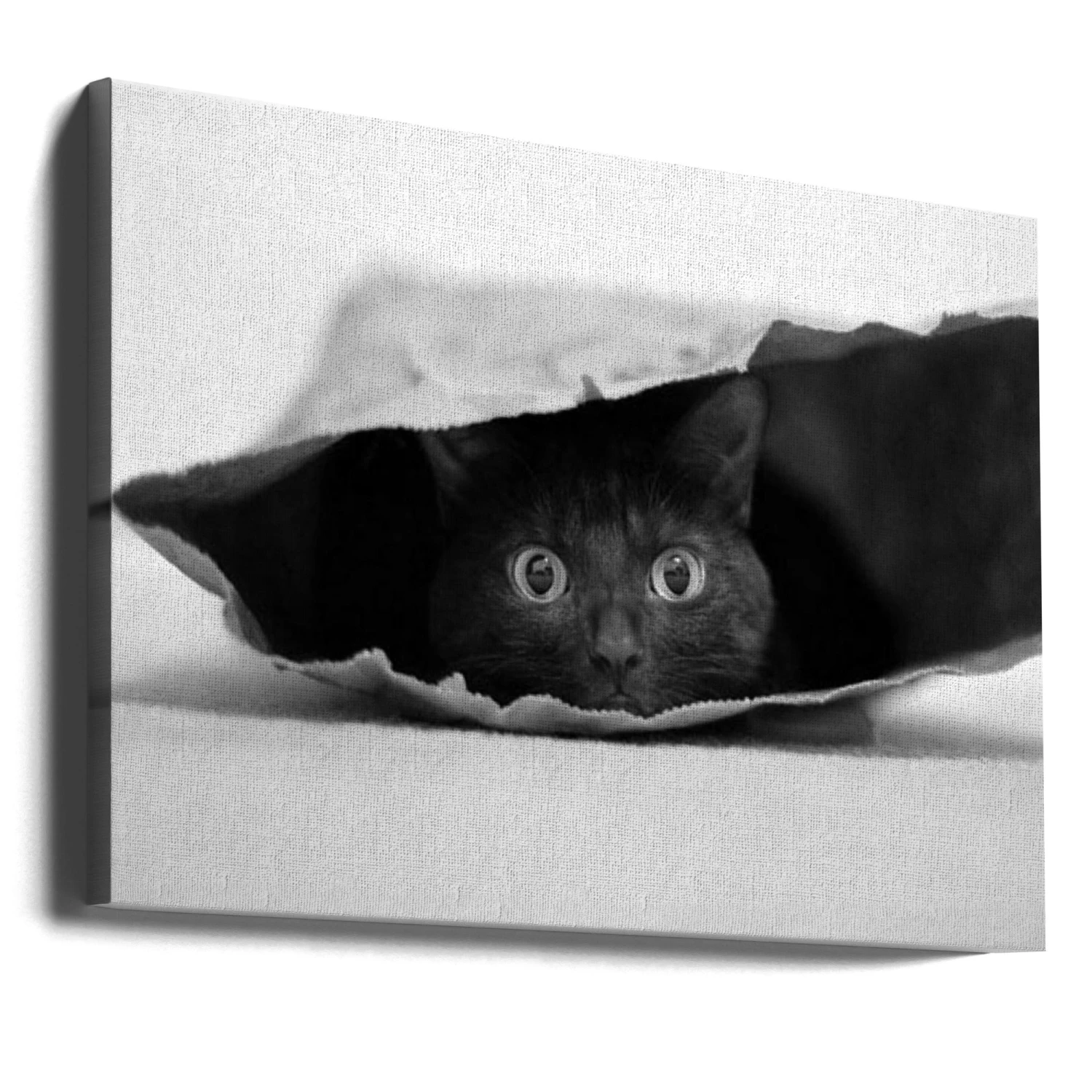 Cat In A Bag - Stretched Canvas, Poster Or Fine Art Print(Cat In A Bag Stretched Canvas Poster Or Fine Art Print) 6 Cat In A Bag - Stretched Canvas, Poster Or Fine Art Print(Cat In A Bag Stretched Canvas Poster Or Fine Art Print) - Image 6