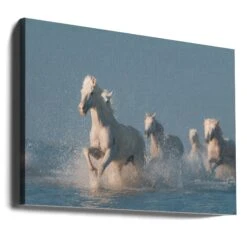 Angels Of Camargue - Stretched Canvas, Poster Or Fine Art Print(Angels Of Camargue Stretched Canvas Poster Or Fine Art Print) -Heart Wall Art Store canvas landscape wrap around 984251
