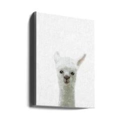 Llama - Stretched Canvas, Poster Or Fine Art Print(Llama Stretched Canvas Poster Or Fine Art Print) -Heart Wall Art Store canvas portrait wrap around 1982193