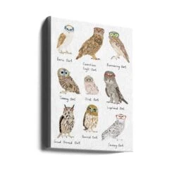 Owls In Glasses Print - Stretched Canvas, Poster Or Fine Art Print(Owls In Glasses Print Stretched Canvas Poster Or Fine Art Print) -Heart Wall Art Store canvas portrait wrap around 2655096