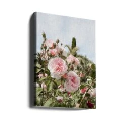 Garden Roses - Stretched Canvas, Poster Or Fine Art Print(Garden Roses Stretched Canvas Poster Or Fine Art Print) 15 Garden Roses - Stretched Canvas, Poster Or Fine Art Print(Garden Roses Stretched Canvas Poster Or Fine Art Print) -Heart Wall Art Store canvas portrait wrap around 2711098