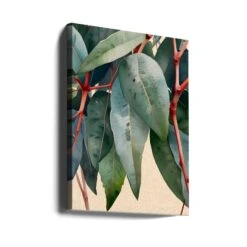 Minimalist Eucalyptus Botanical Art - Stretched Canvas, Poster Or Fine Art Print(Minimalist Eucalyptus Botanical Art Stretched Canvas Poster Or Fine Art Print) 15 Minimalist Eucalyptus Botanical Art - Stretched Canvas, Poster Or Fine Art Print(Minimalist Eucalyptus Botanical Art Stretched Canvas Poster Or Fine Art Print) -Heart Wall Art Store canvas portrait wrap around 3028350