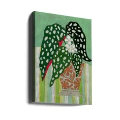 Begonia Maculata - Stretched Canvas, Poster Or Fine Art Print(Begonia Maculata Stretched Canvas Poster Or Fine Art Print) -Heart Wall Art Store canvas portrait wrap around 3167142