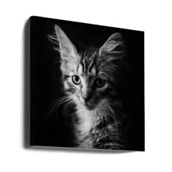 Laban - Square Stretched Canvas, Poster Or Fine Art Print(Laban Square Stretched Canvas Poster Or Fine Art Print) -Heart Wall Art Store canvas square wrap around 1936290