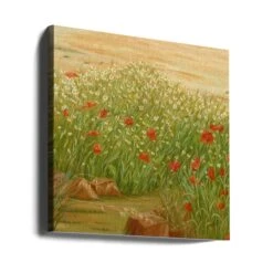 Daisies AndPoppies - Square Stretched Canvas, Poster Or Fine Art Print(Daisies And Poppies Square Stretched Canvas Poster Or Fine Art Print) -Heart Wall Art Store canvas square wrap around 2659987