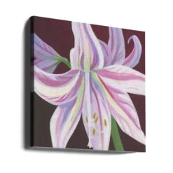 Rosa Amaryllis - Square Stretched Canvas, Poster Or Fine Art Print(Rosa Amaryllis Square Stretched Canvas Poster Or Fine Art Print) -Heart Wall Art Store canvas square wrap around 3163065