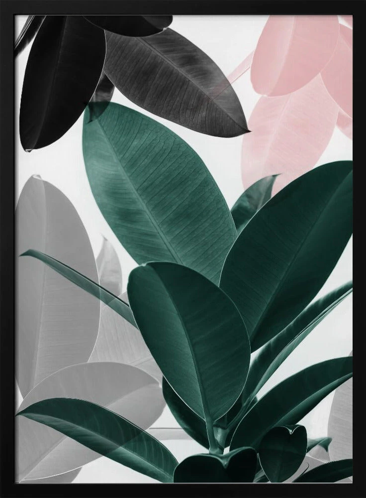 Leaf Play - Stretched Canvas, Poster Or Fine Art Print(Leaf Play Stretched Canvas Poster Or Fine Art Print) 1 Leaf Play - Stretched Canvas, Poster Or Fine Art Print(Leaf Play Stretched Canvas Poster Or Fine Art Print)