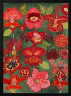 Final Eclectic Garden Copy 3.png - Stretched Canvas, Poster Or Fine Art Print(Final Eclectic Garden Copy 3 Png Stretched Canvas Poster Or Fine Art Print)